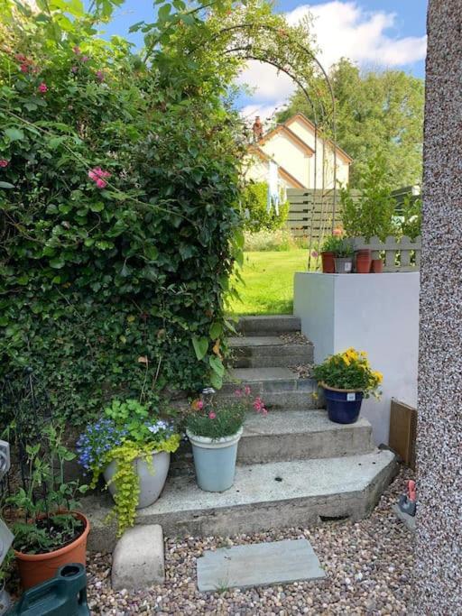 Entire 2 Bed Cottage - Llangwm Llangwm  Exterior photo